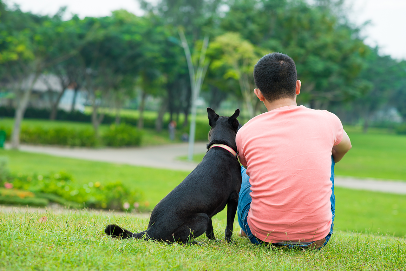 Man sitting with his dog in a park, Dog Park